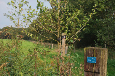 Afbeelding - Groene en Blauwe diensten